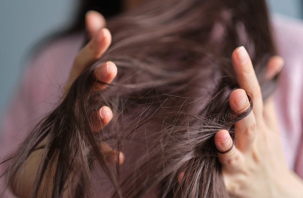 6 Common Myths About Hair Growth & Loss: What You Need To Know